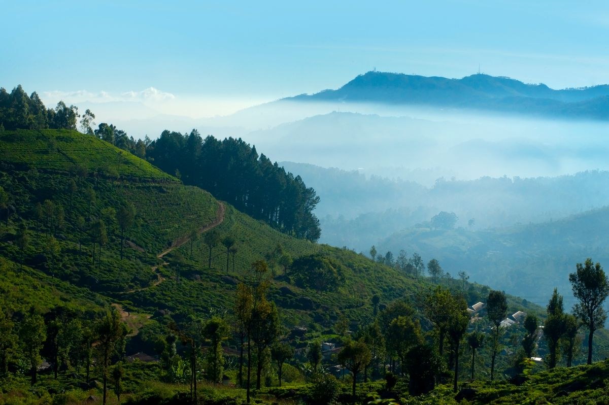 Scenic Sri Lanka With Nuwara Eliya
