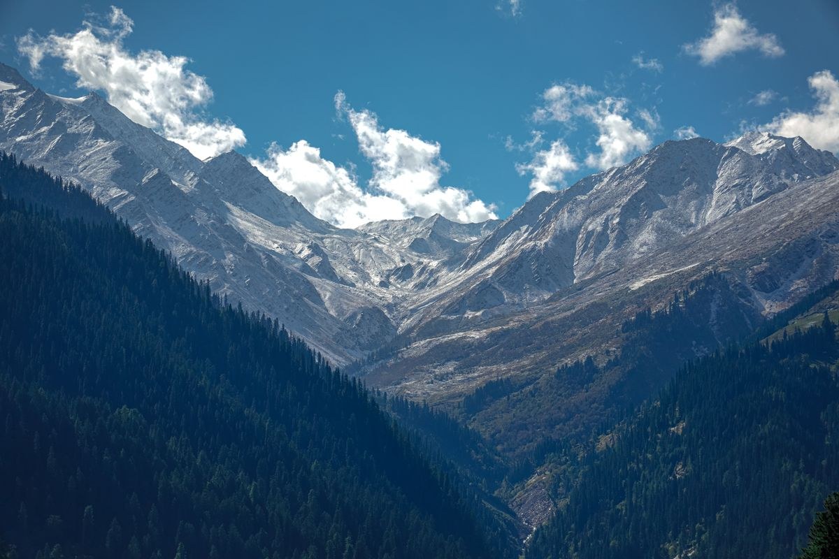 Exotic Manali