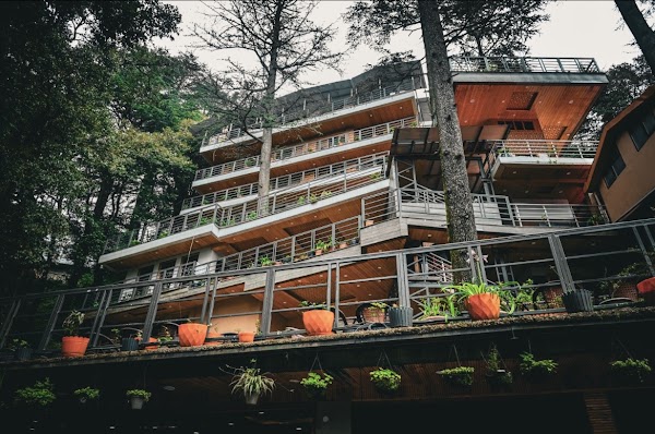 Fairmount Shimla Forest Greens - Standard