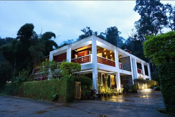 Falling Waters - Standard