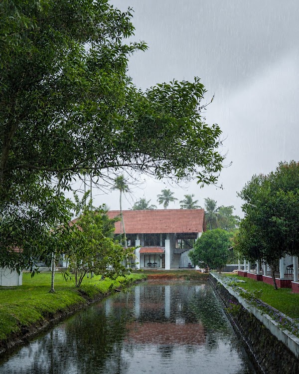 Palmgrove Lake Resort - Standard